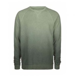 DI-SS10